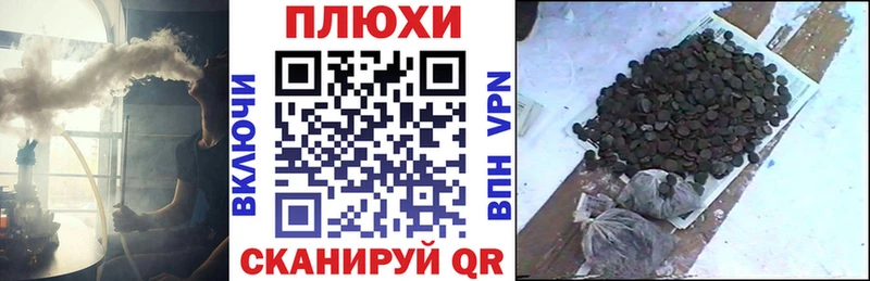 Купить закладки  Приозерск  ГАШ 40% ТГК 